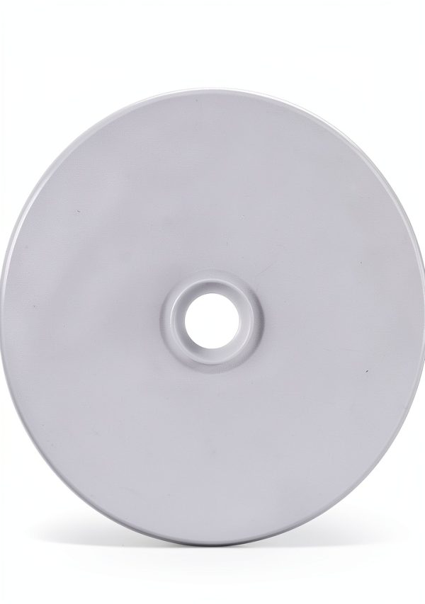 Ritek BD-R Disc 25GB Archival Professional 4X-4